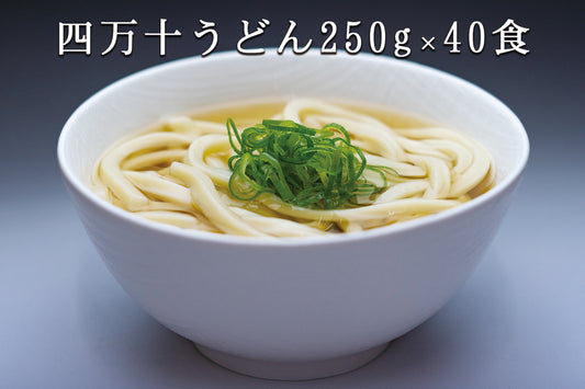 【飲食店用】　四万十うどん250g×40食　【冷凍】【送料込み】【業務用】